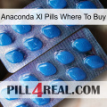 Anaconda Xl Pills Where To Buy viagra2